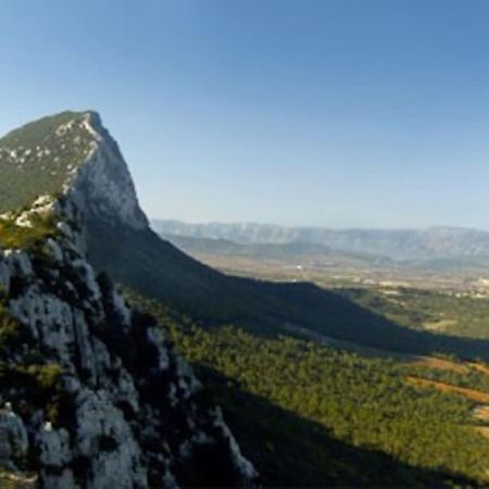 Gite Du Pic Saint Loup Valflaunes Dış mekan fotoğraf