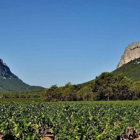 Gite Du Pic Saint Loup Valflaunes Dış mekan fotoğraf