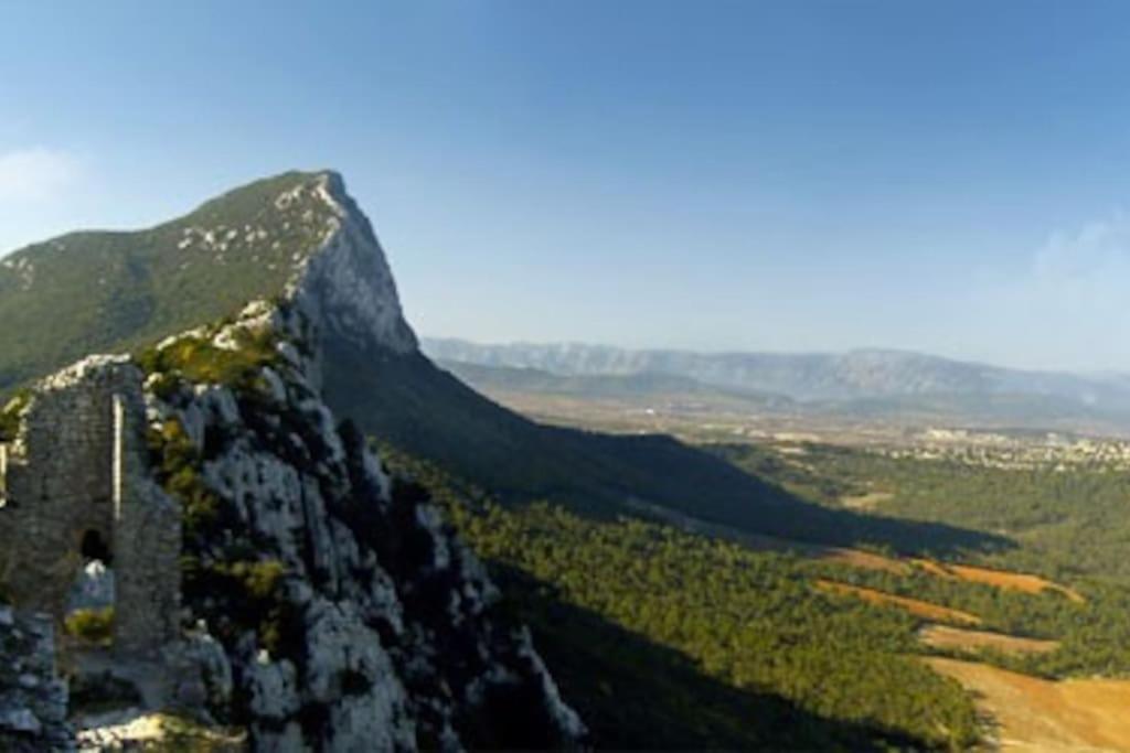 Gite Du Pic Saint Loup Valflaunes Dış mekan fotoğraf