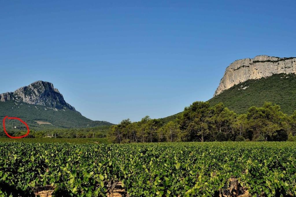 Gite Du Pic Saint Loup Valflaunes Dış mekan fotoğraf